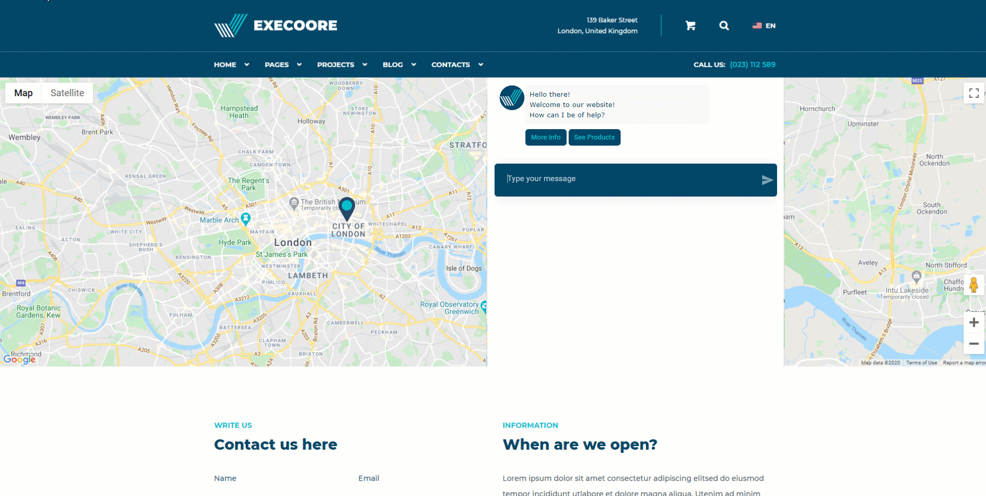website chatbot